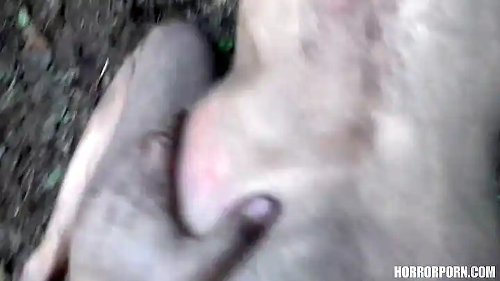 The Dark Side Of The Woods - HORROR PORN