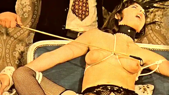 Hairy retro Chinese babe Rope Bondage gets kinky in vintage video