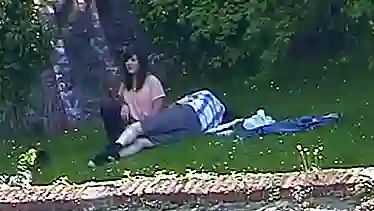 Fun In the Park
