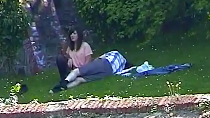 Fun In the Park